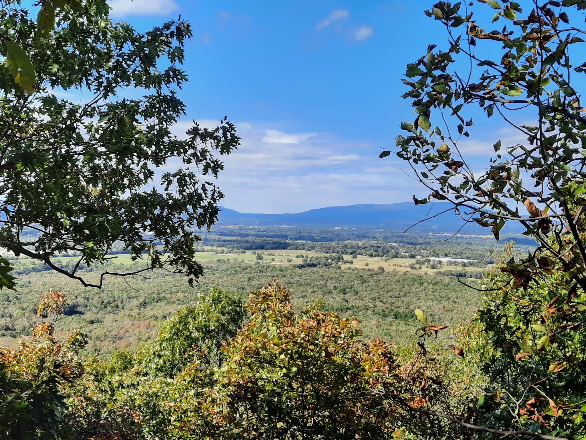 Camper submitted image from Heavener Runestone Park - 4