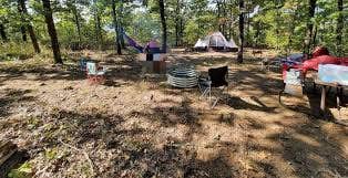 Camper-submitted photo at Heavener Runestone Park near Hartford, AR