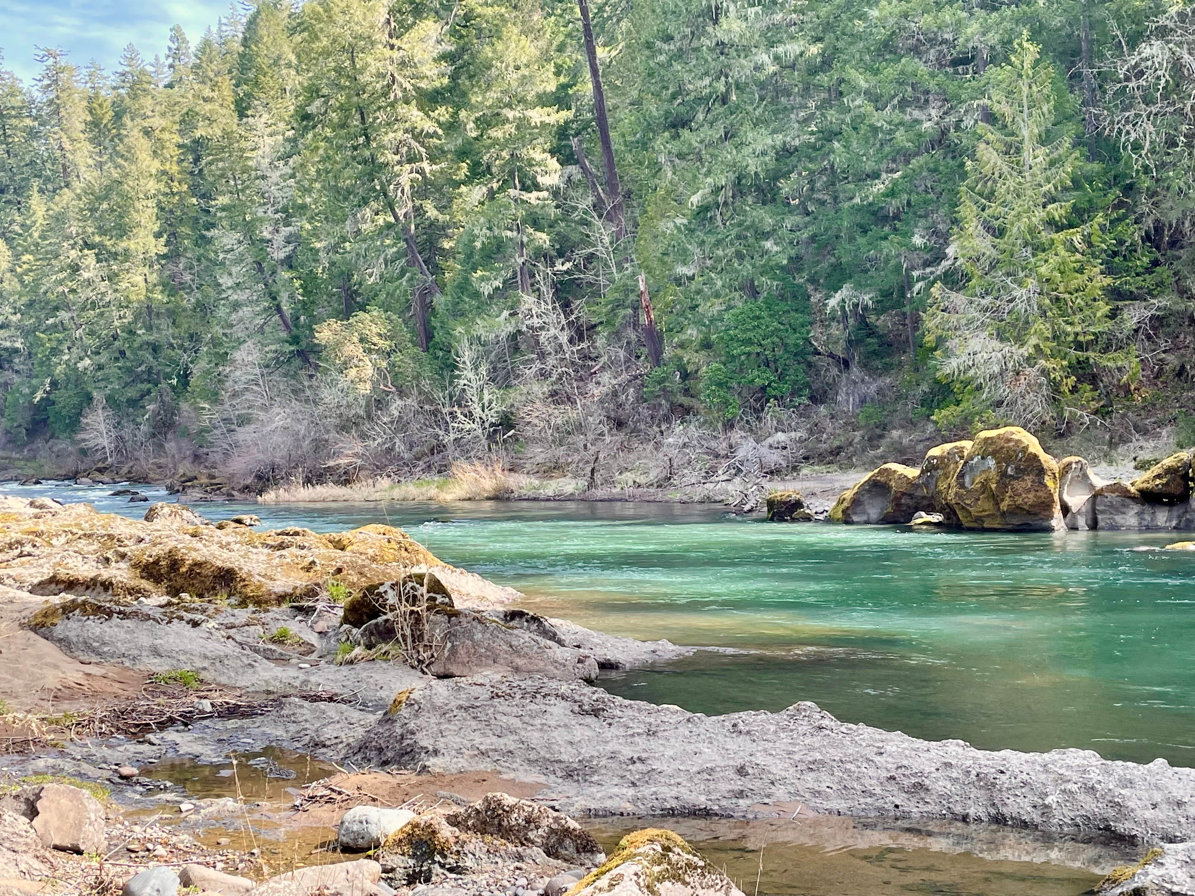 Camper-submitted photo at Three C Rock Campground near Roseburg, OR
