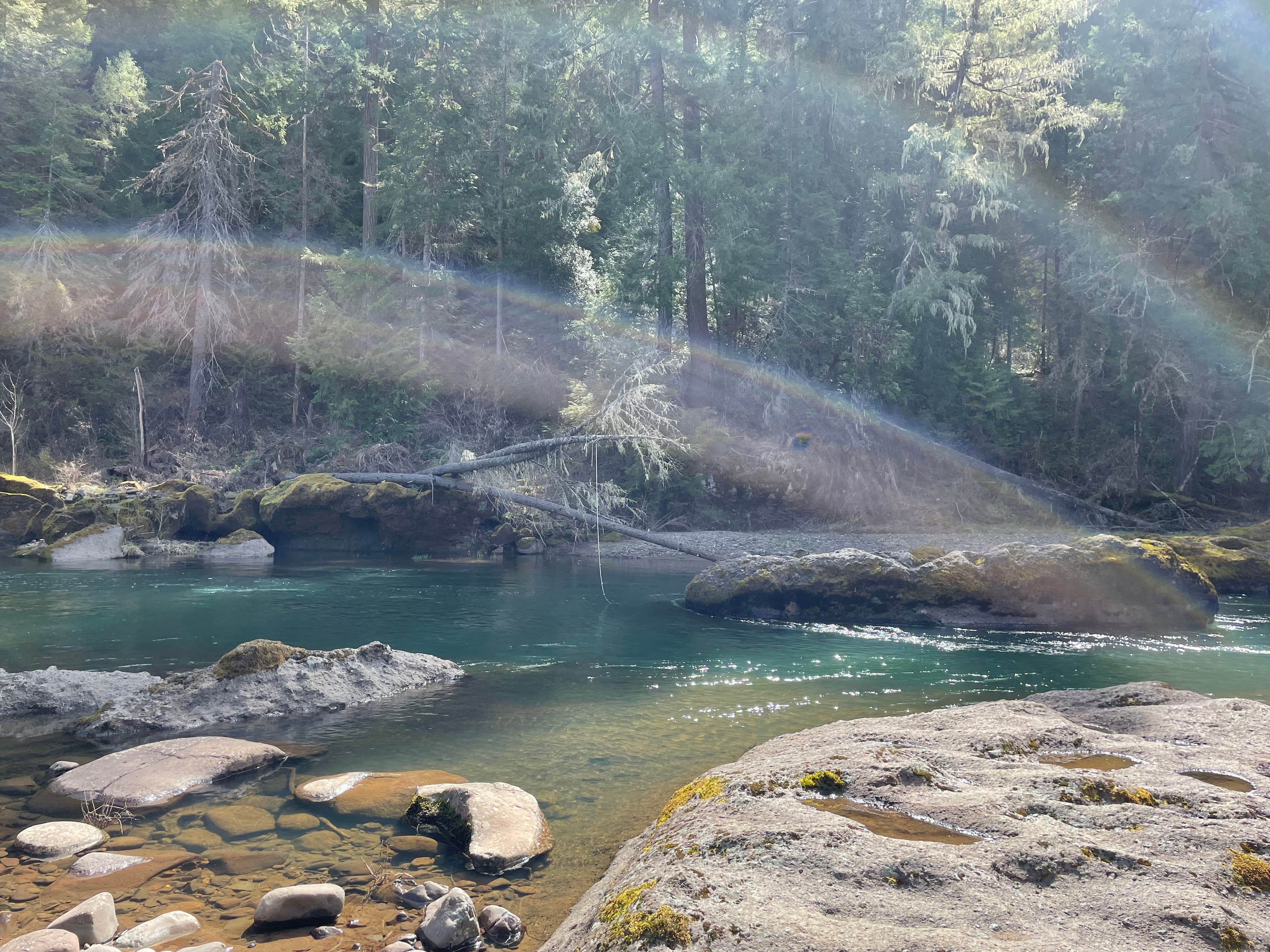 Camper-submitted photo at Three C Rock Campground near Roseburg, OR