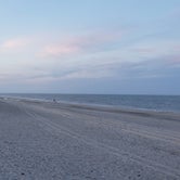 Review photo of Oceanside Assateague Campground — Assateague Island National Seashore by L T., March 26, 2022