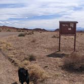 Review photo of BLM Dispersed Exit 108 Lone Tree Road by Greg L., March 26, 2022