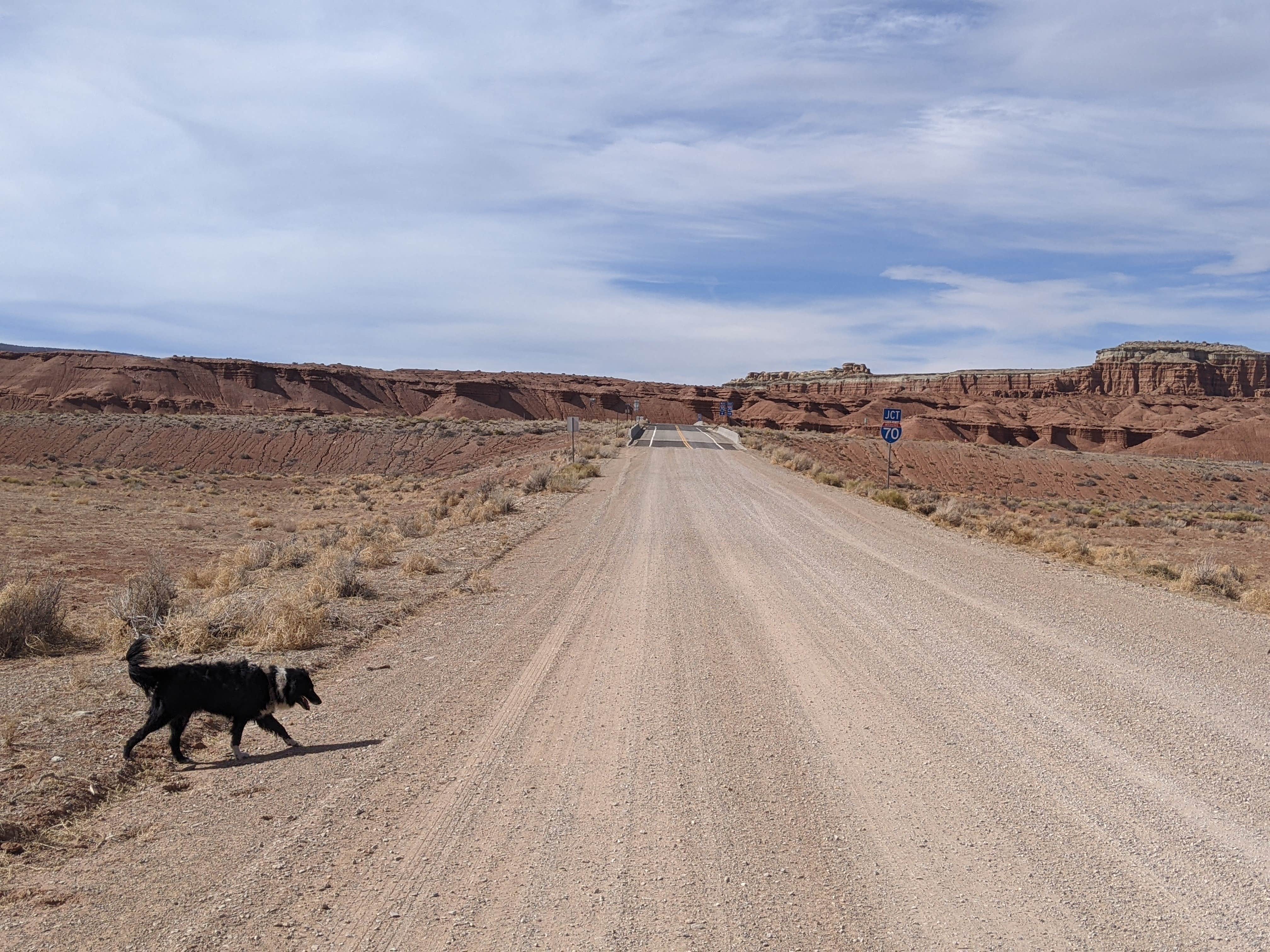 Greg L.'s photo of camping with pets at BLM Dispersed Exit 108 Lone Tree Road near Manti, UT
