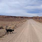 Review photo of BLM Dispersed Exit 108 Lone Tree Road by Greg L., March 26, 2022