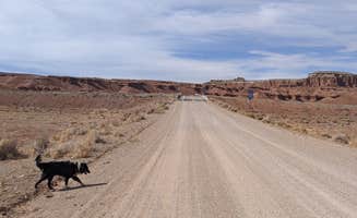 Greg L.'s photo of camping with pets at BLM Dispersed Exit 108 Lone Tree Road near Hanksville, UT