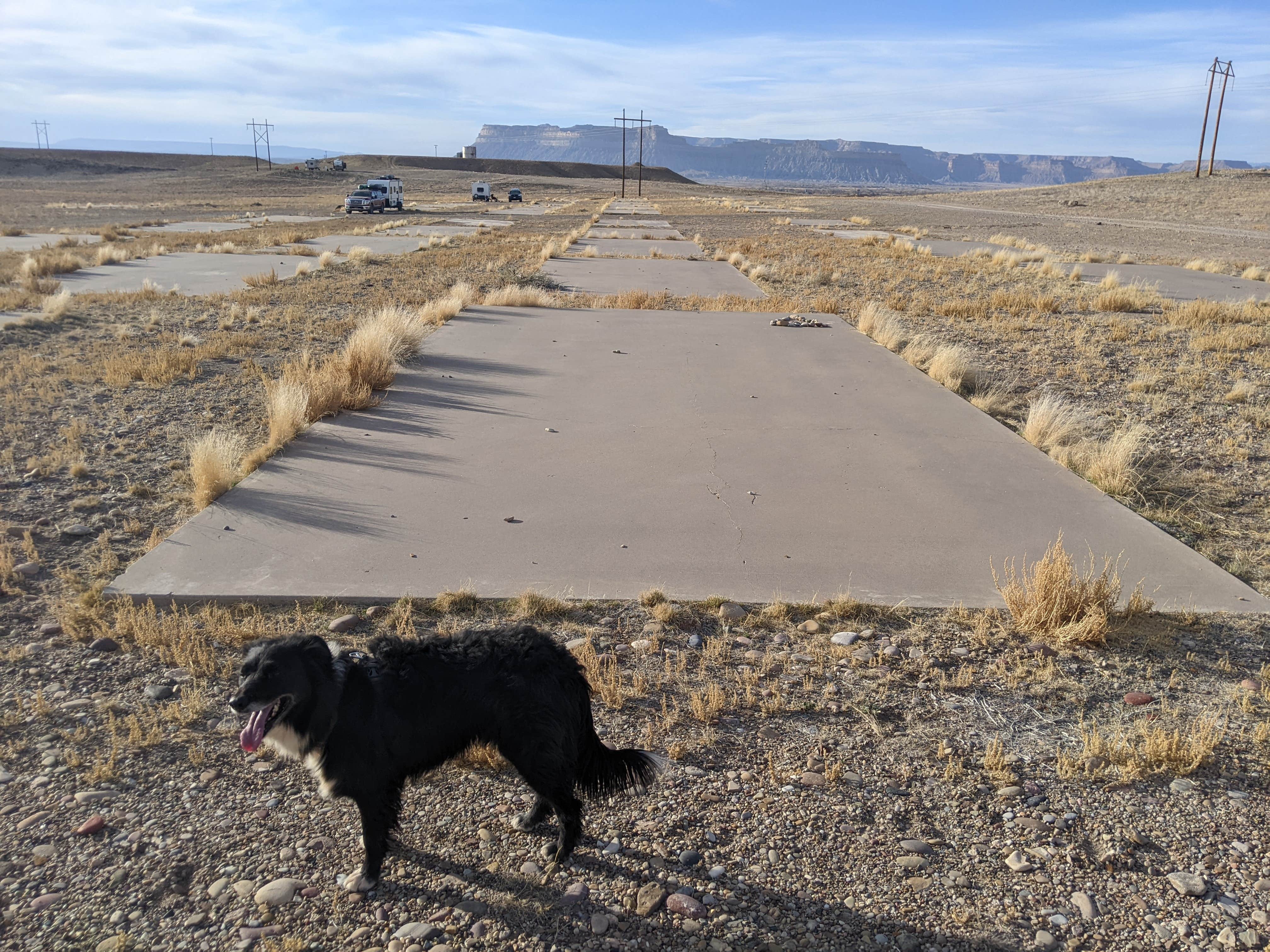 Greg L.'s photo of camping with pets at Athena Slabs at Green River near Green River, UT