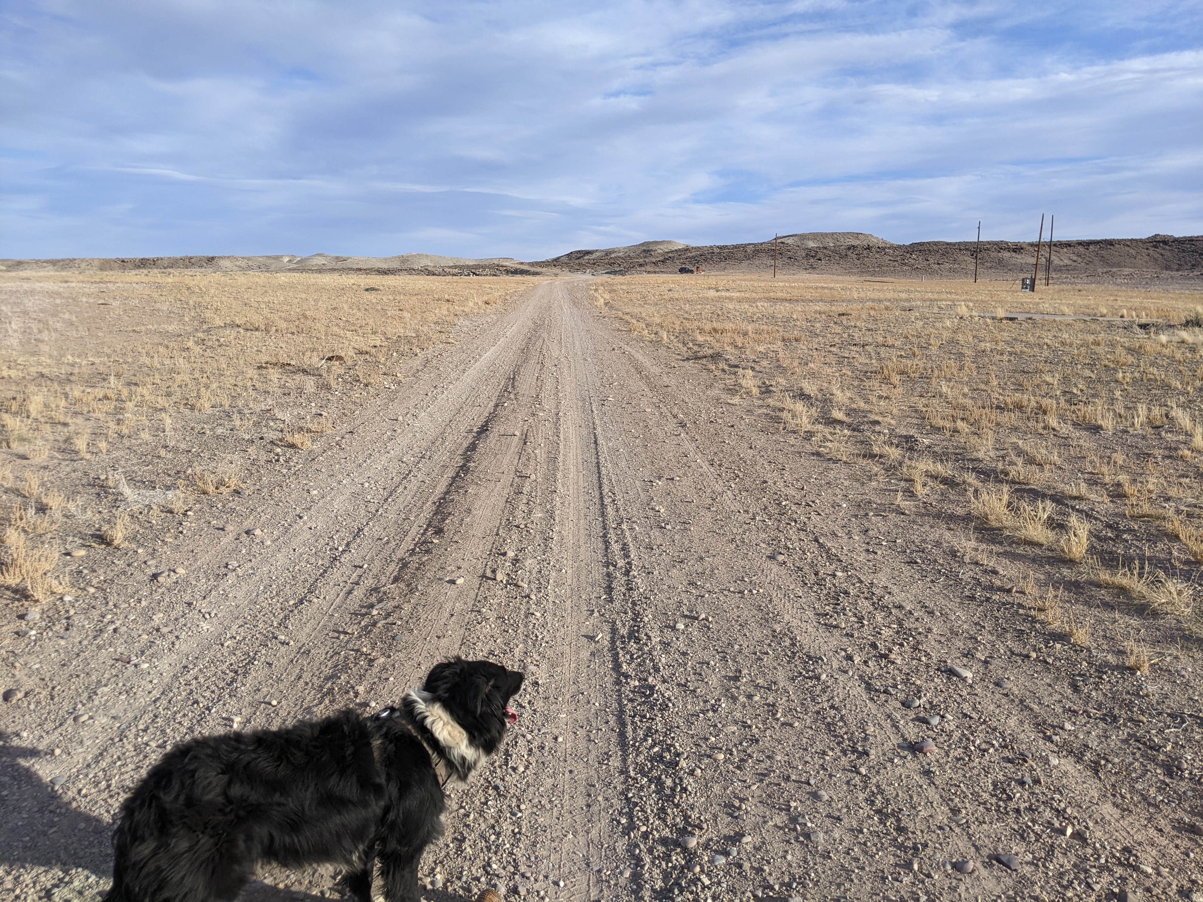 Greg L.'s photo of camping with pets at Athena Slabs at Green River near Green River, UT