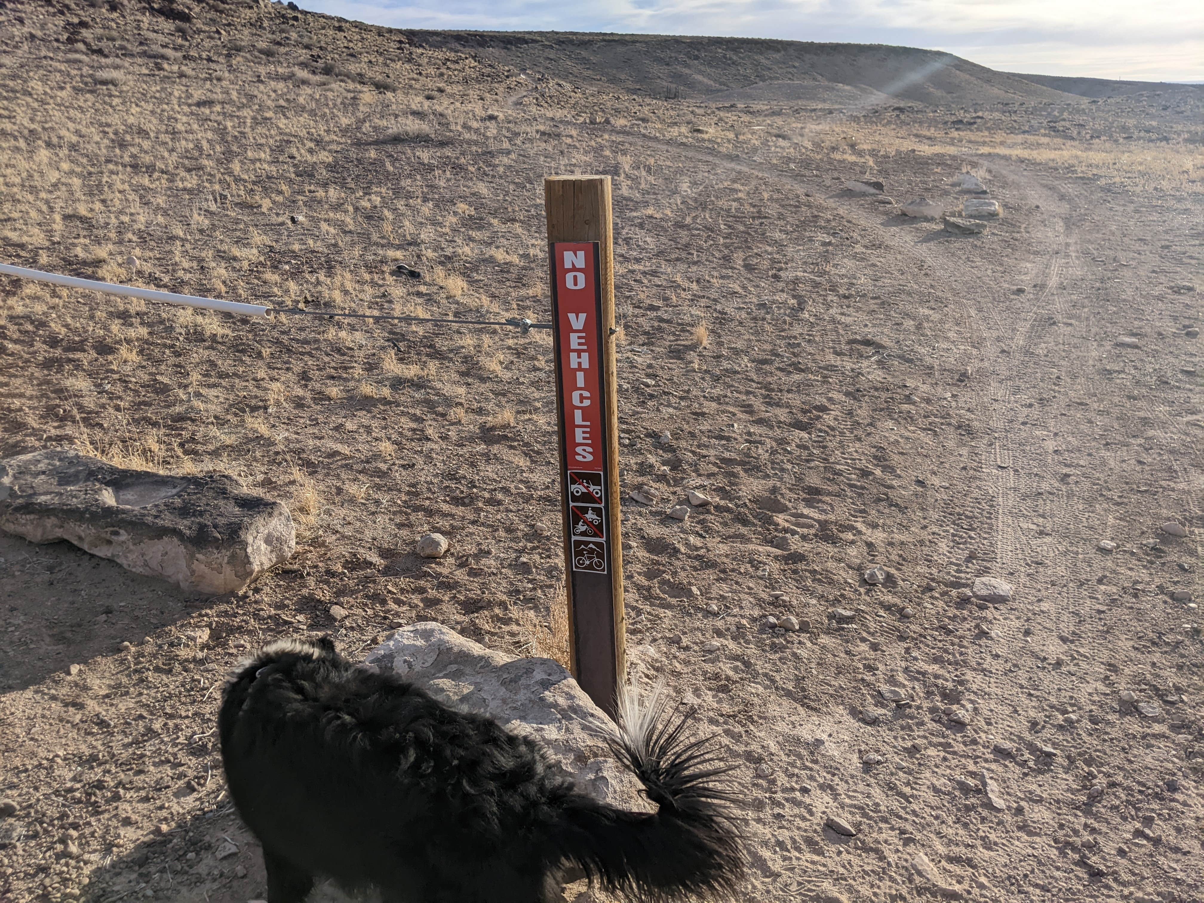 Camping near Swasey's Beach Campground — Desolation Canyon: Athena Slabs at Green River, Green River, Utah