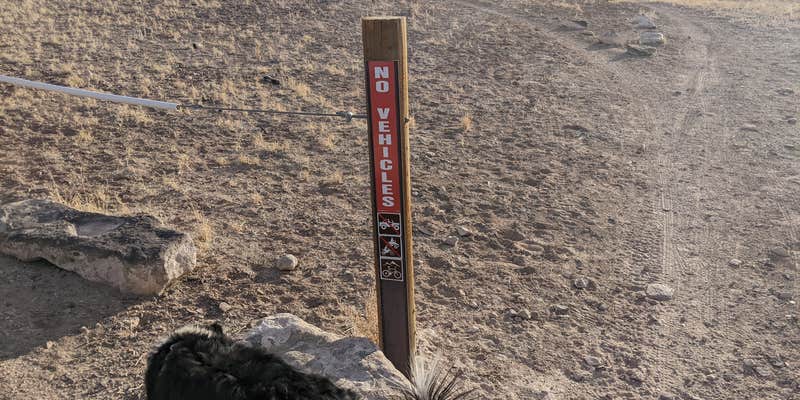 Camper submitted image from Athena Slabs at Green River