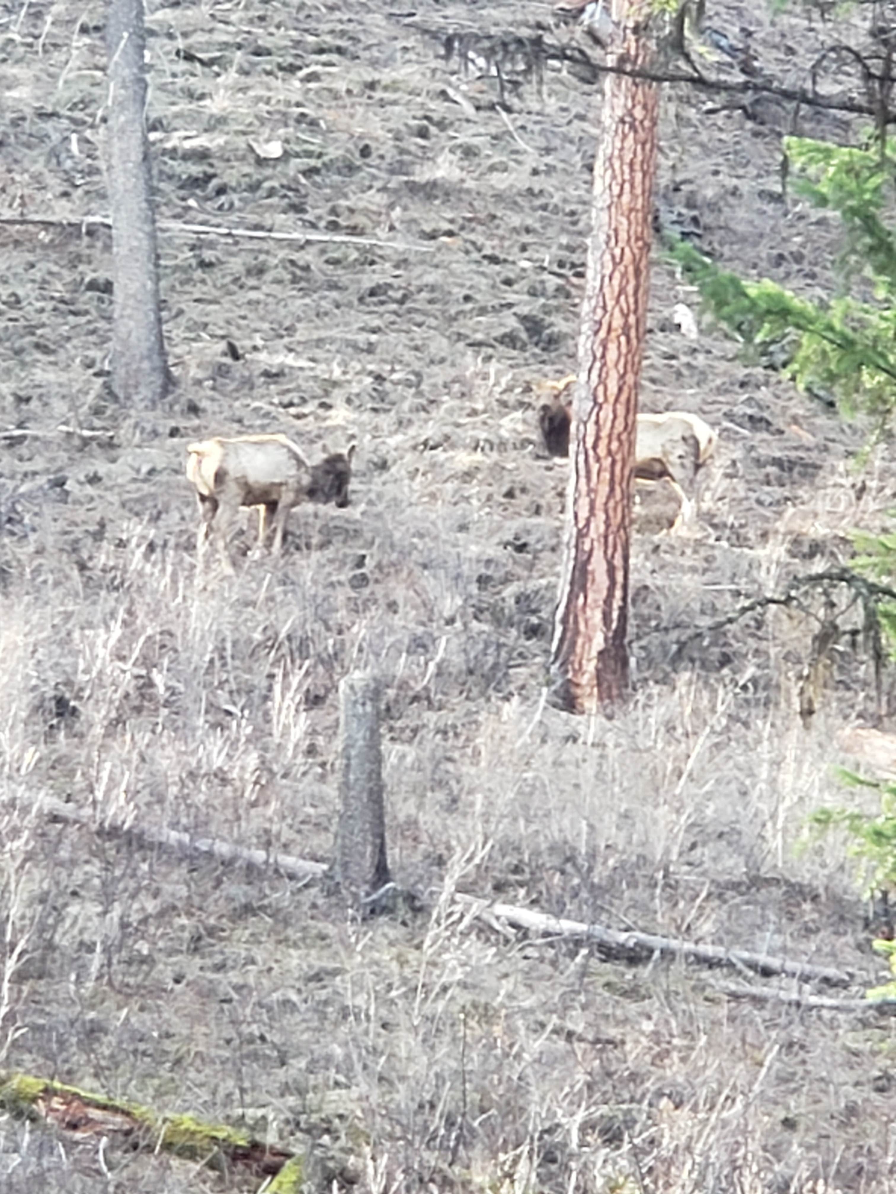 South Fork Recreation Site