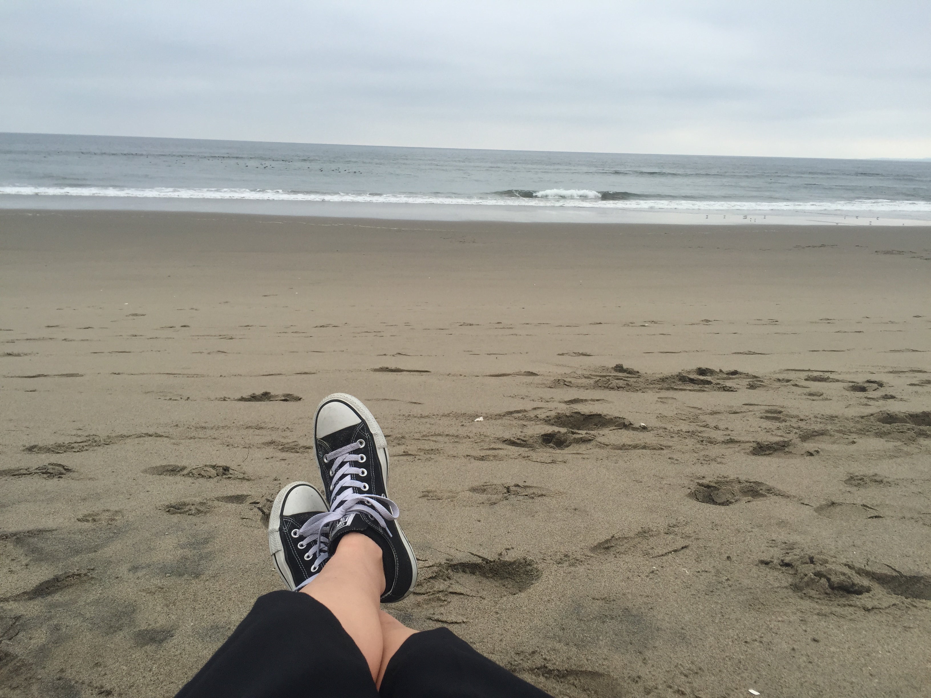 Camper submitted image from Manresa State Beach Campground - 3