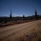 Review photo of Tonto National Forest Dispersed Camping at Lake Roosevelt by Tanner P., March 27, 2022