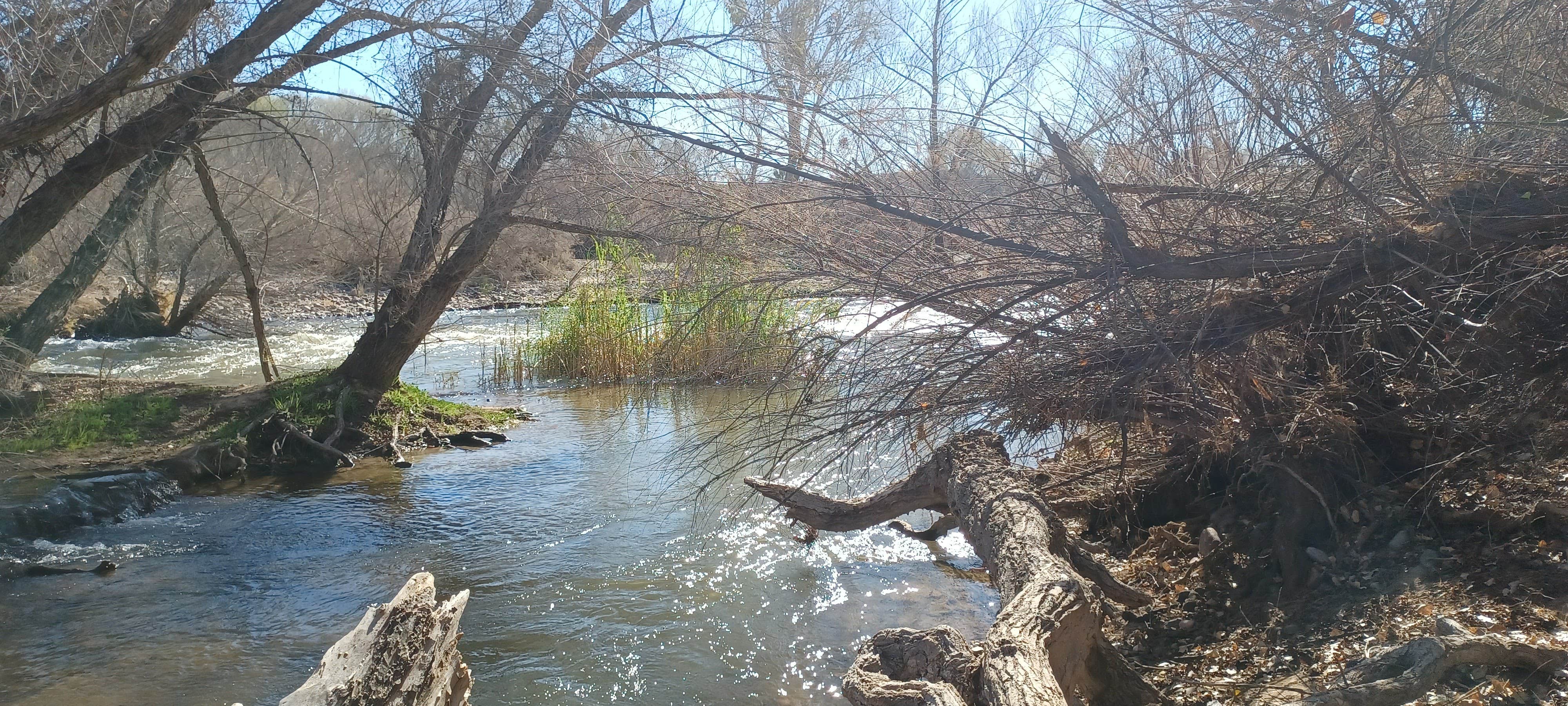 Camper-submitted photo at Box Bar near Rio Verde, AZ