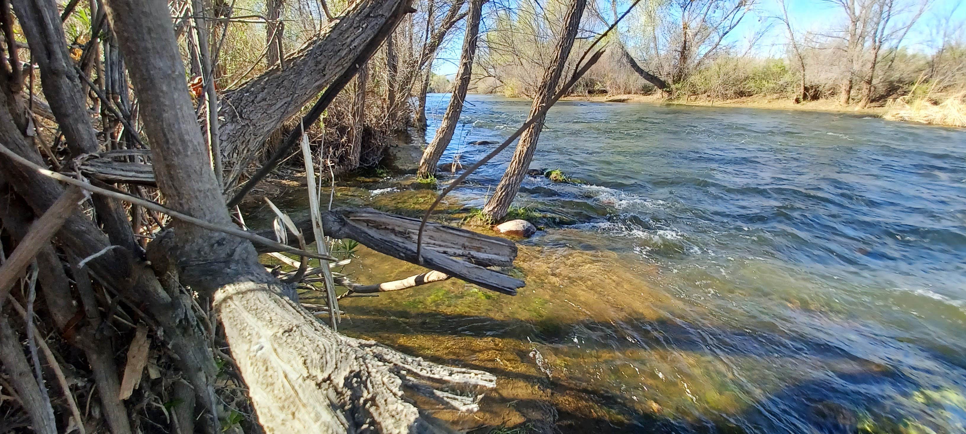 Camper-submitted photo at Box Bar near Rio Verde, AZ