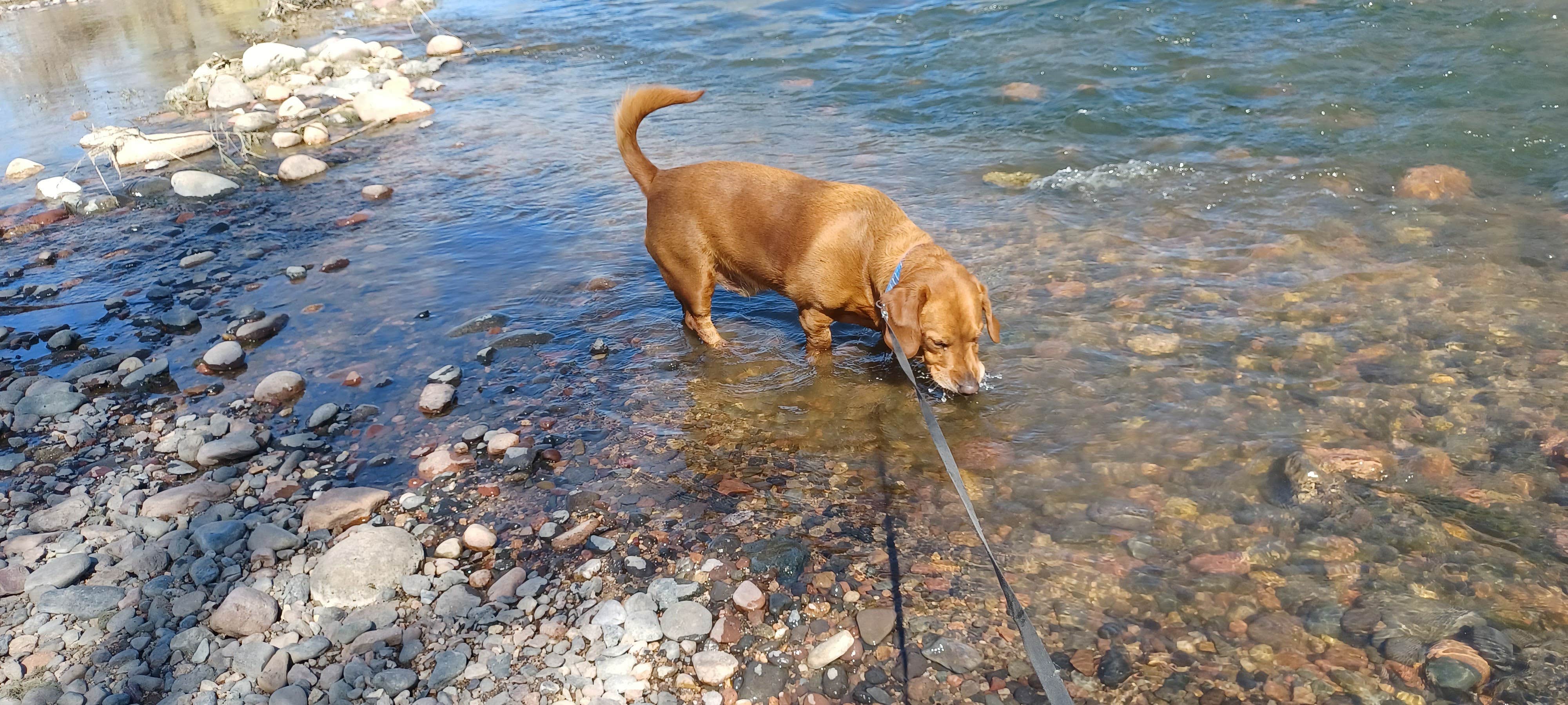 Camper-submitted photo at Box Bar near Fort Mcdowell, AZ