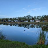 Review photo of Midway Campground — Big Cypress National Preserve by Ari A., March 27, 2022