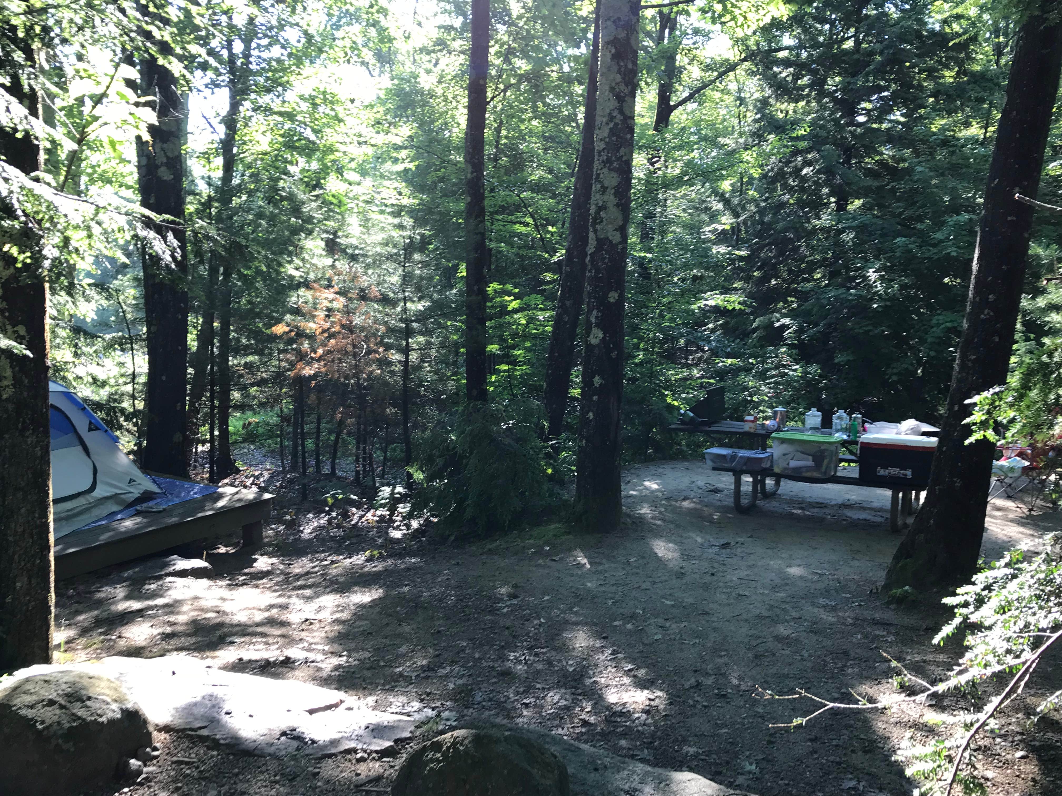 Barbara S.'s photo at Gilson Pond Area Campground — Monadnock State Park near West Townsend, MA