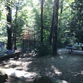 Review photo of Monadnock State Park Campground by Barbara S., July 11, 2018