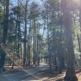 Review photo of Vogel State Park Campground by Elizabeth M., March 27, 2022