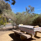 Review photo of Boulder Beach Campground — Lake Mead National Recreation Area by Les W., March 27, 2022