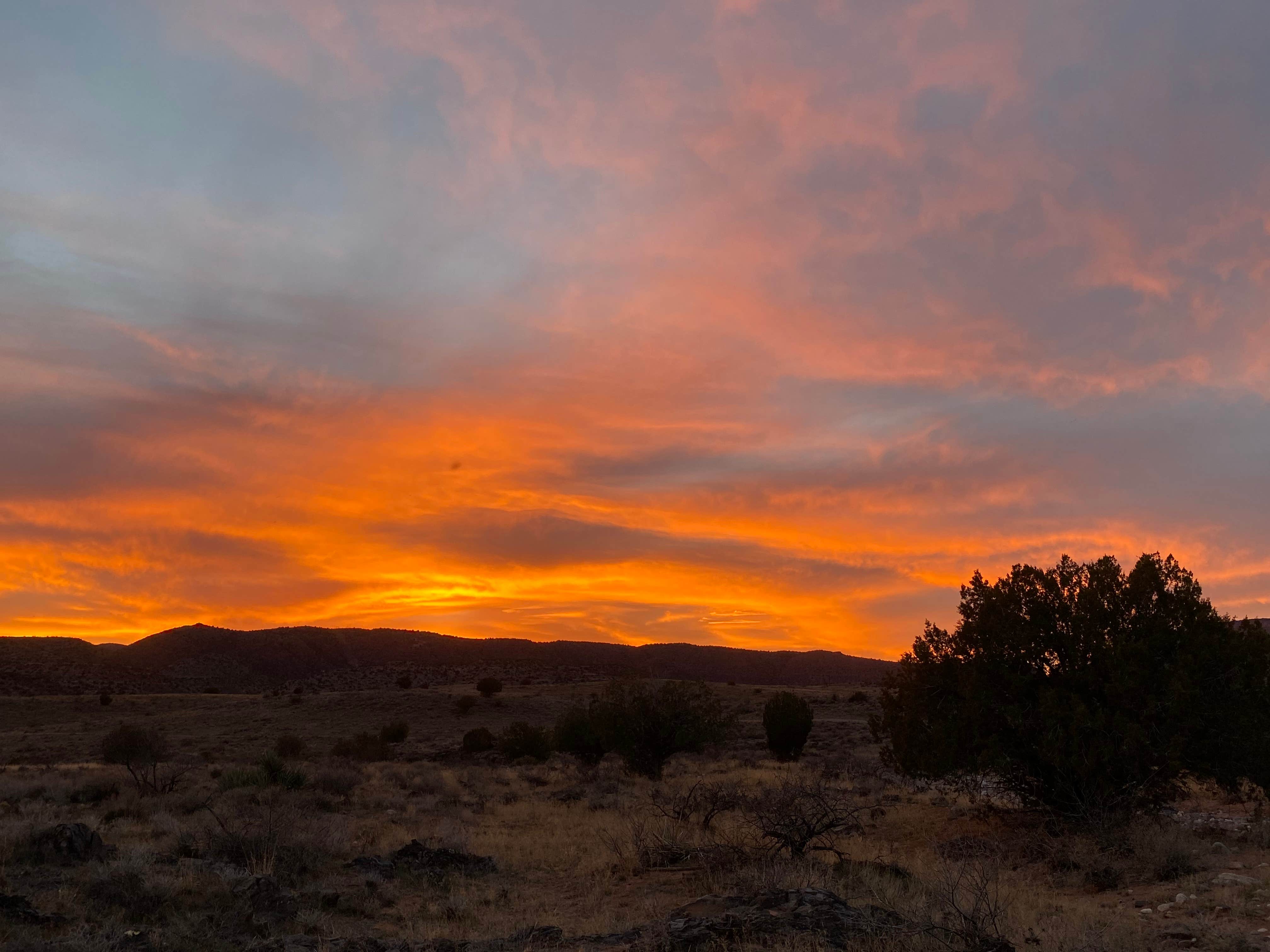 Camping near Arizona State Trust Land FSR 761 Dispersed: Sycamore Canyon Rd Coconino National Forest, Clarkdale, Arizona