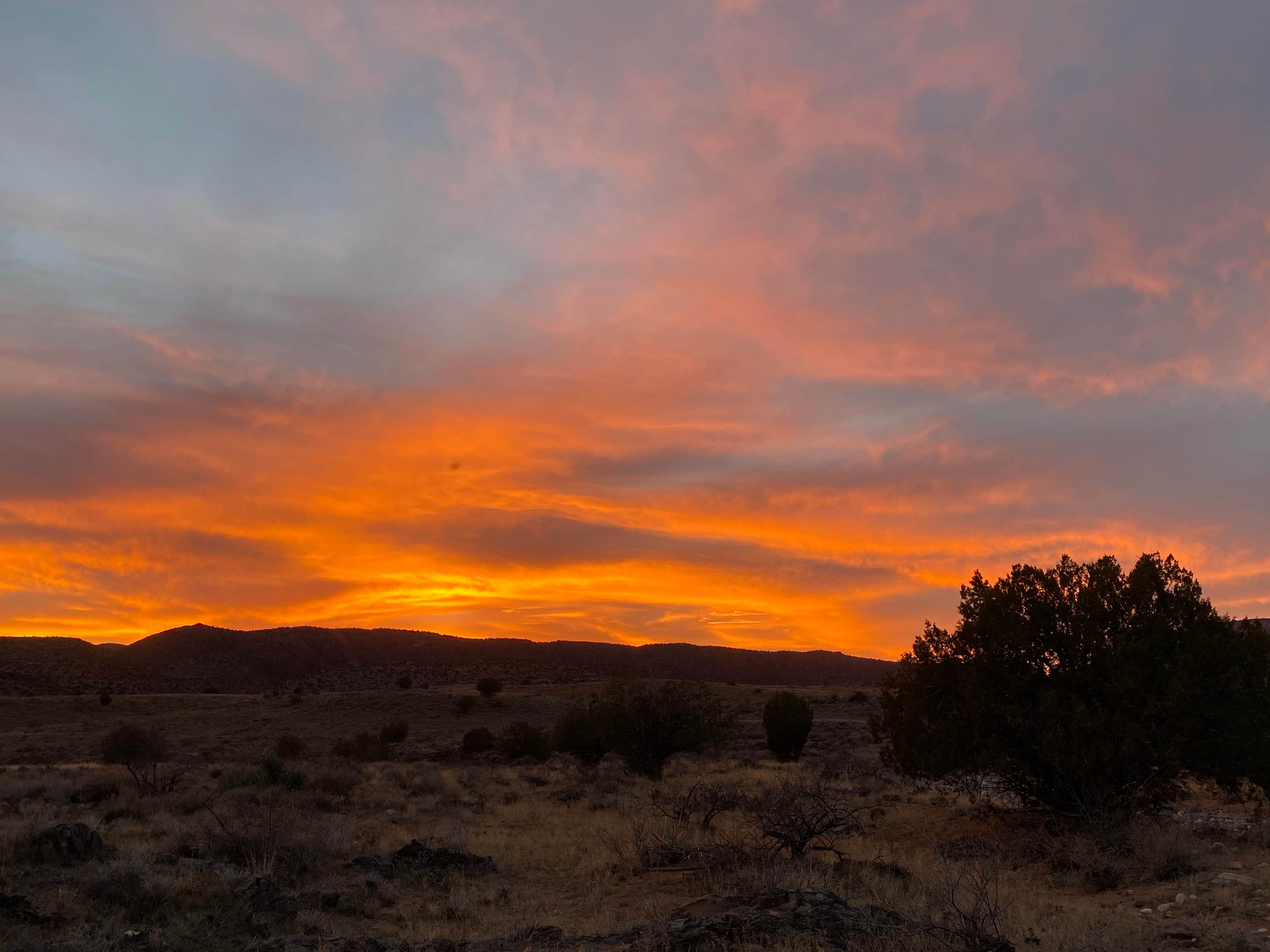 Camper submitted image from Sycamore Canyon Rd Coconino National Forest - 1