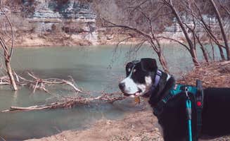 Erin B.'s photo of camping with pets at Cummins Ferry RV Park, Campground on the Kentucky River in Kentucky
