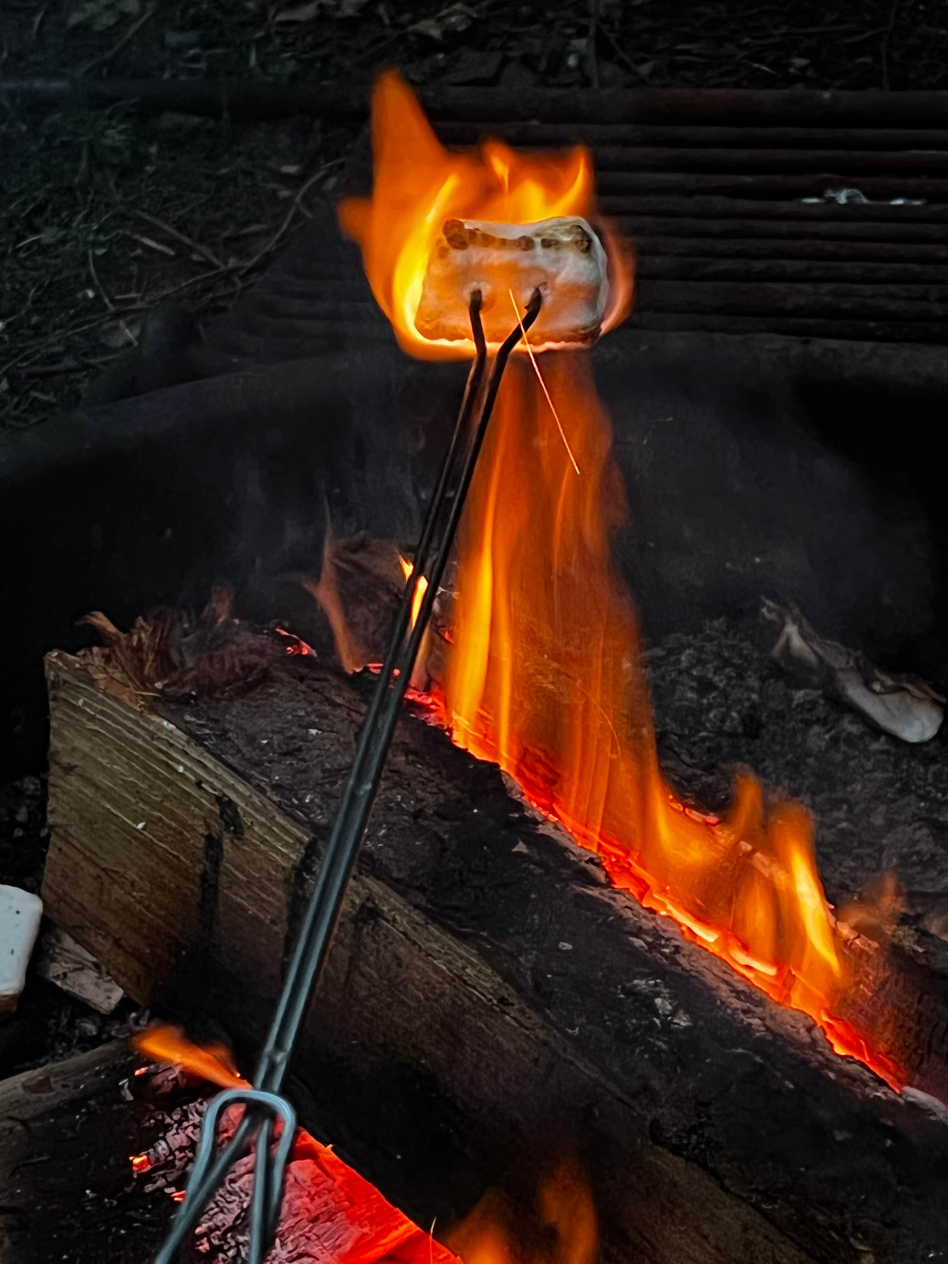 Camper submitted image from Camano Island State Park Campground - 4