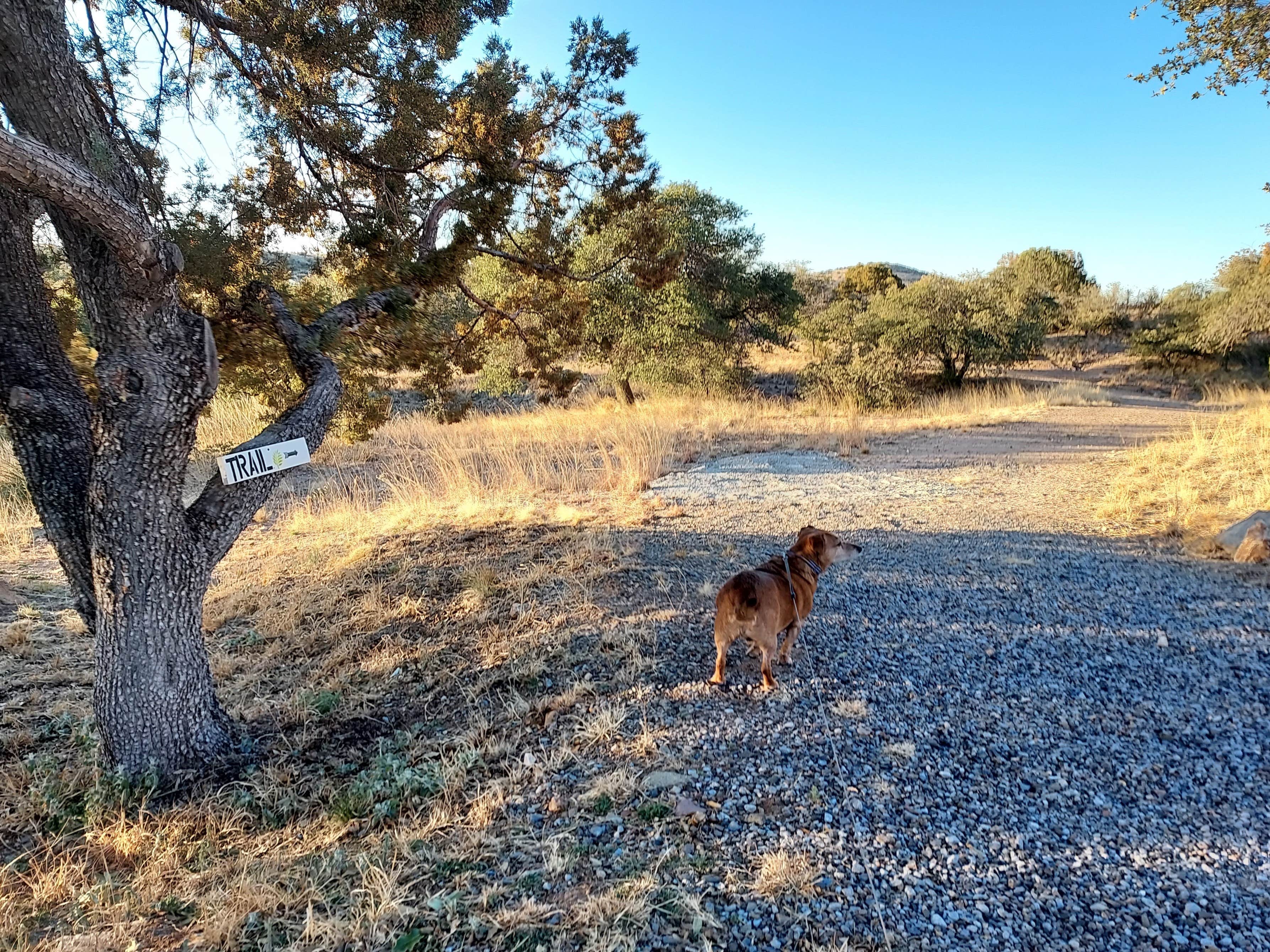 Camper submitted image from Ridge Park RV - 5