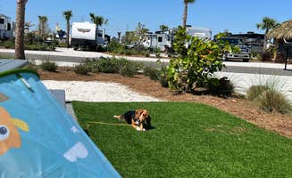 Phil's photo of camping with pets at Camp Margaritaville RV Resort and Cabana Cabins Auburndale near Poinciana, FL