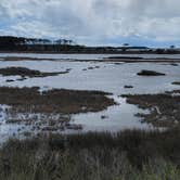 Review photo of Oceanside Assateague Campground — Assateague Island National Seashore by Krystal P., March 27, 2022