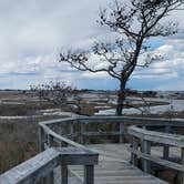 Review photo of Oceanside Assateague Campground — Assateague Island National Seashore by Krystal P., March 27, 2022