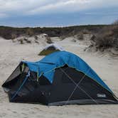 Review photo of Oceanside Assateague Campground — Assateague Island National Seashore by Krystal P., March 27, 2022
