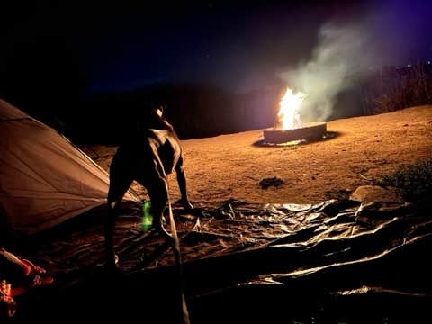 Sasha D.'s photo at Buena Vista Aquatic Recreational Area near Alpaugh, CA