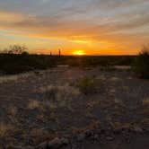 Review photo of Picacho Peak State Park Campground by Rob F., March 28, 2022