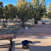 Review photo of Fool Hollow Lake Recreation Area Campground by Sheri H., March 28, 2022