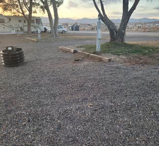 Camper-submitted photo from Elko RV Park at Ryndon