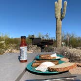 Review photo of Twin Peaks Campground — Organ Pipe Cactus National Monument by Vanessa S., March 28, 2022