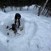 Review photo of Riley Creek Campground — Denali National Park by Elizabeth G., March 28, 2022