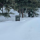 Review photo of Riley Creek Campground — Denali National Park by Elizabeth G., March 28, 2022