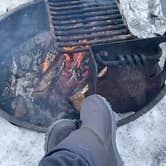 Review photo of Riley Creek Campground — Denali National Park by Elizabeth G., March 28, 2022