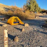 Review photo of Furnace Creek Campground — Death Valley National Park by Elizabeth G., March 28, 2022