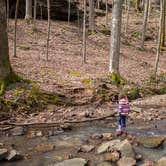 Review photo of Turkey Ridge Campground — Ferne Clyffe State Park by Dani B., July 11, 2018