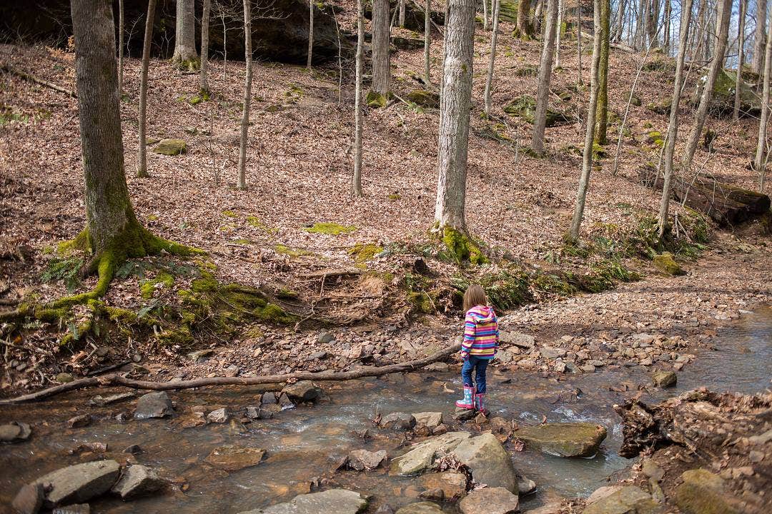 Camper submitted image from Turkey Ridge Campground — Ferne Clyffe State Park - 1