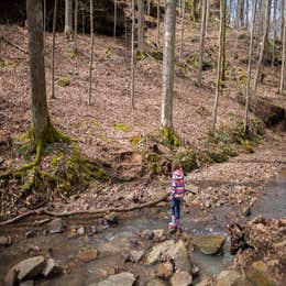 Turkey Ridge Campground — Ferne Clyffe State Park