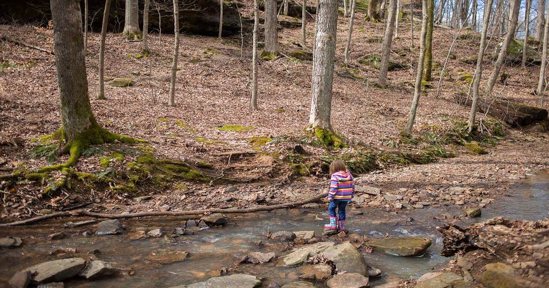 Turkey Ridge Campground — Ferne Clyffe State Park | Goreville, Illinois