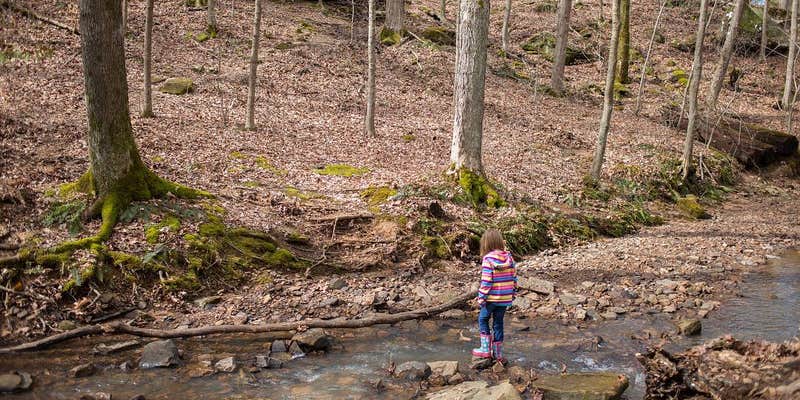Camper submitted image from Turkey Ridge Campground — Ferne Clyffe State Park