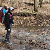 Review photo of Turkey Ridge Campground — Ferne Clyffe State Park by Dani B., July 11, 2018