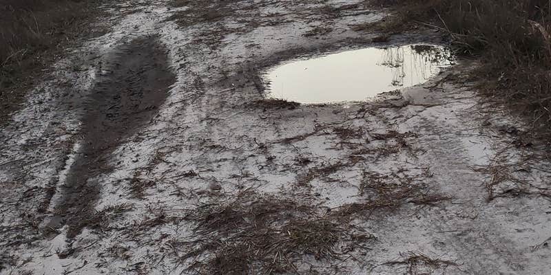Camper submitted image from Great Lake Dispersed Site - Croatan National Forest