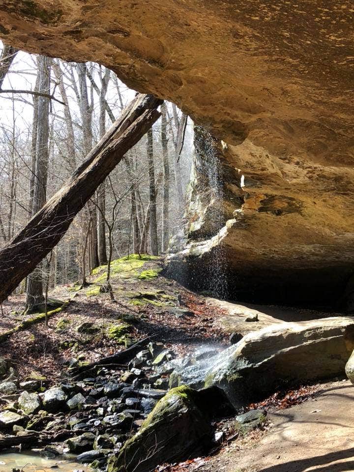 Camper-submitted photo at Turkey Ridge Campground — Ferne Clyffe State Park near Jonesboro, IL